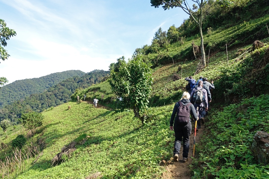 Bwindi Impenetrable National Park